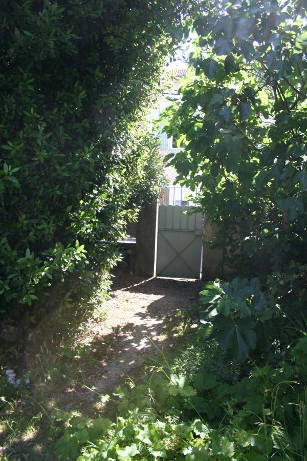 Le Mas Des Dames Appartement Avignon Buitenkant foto