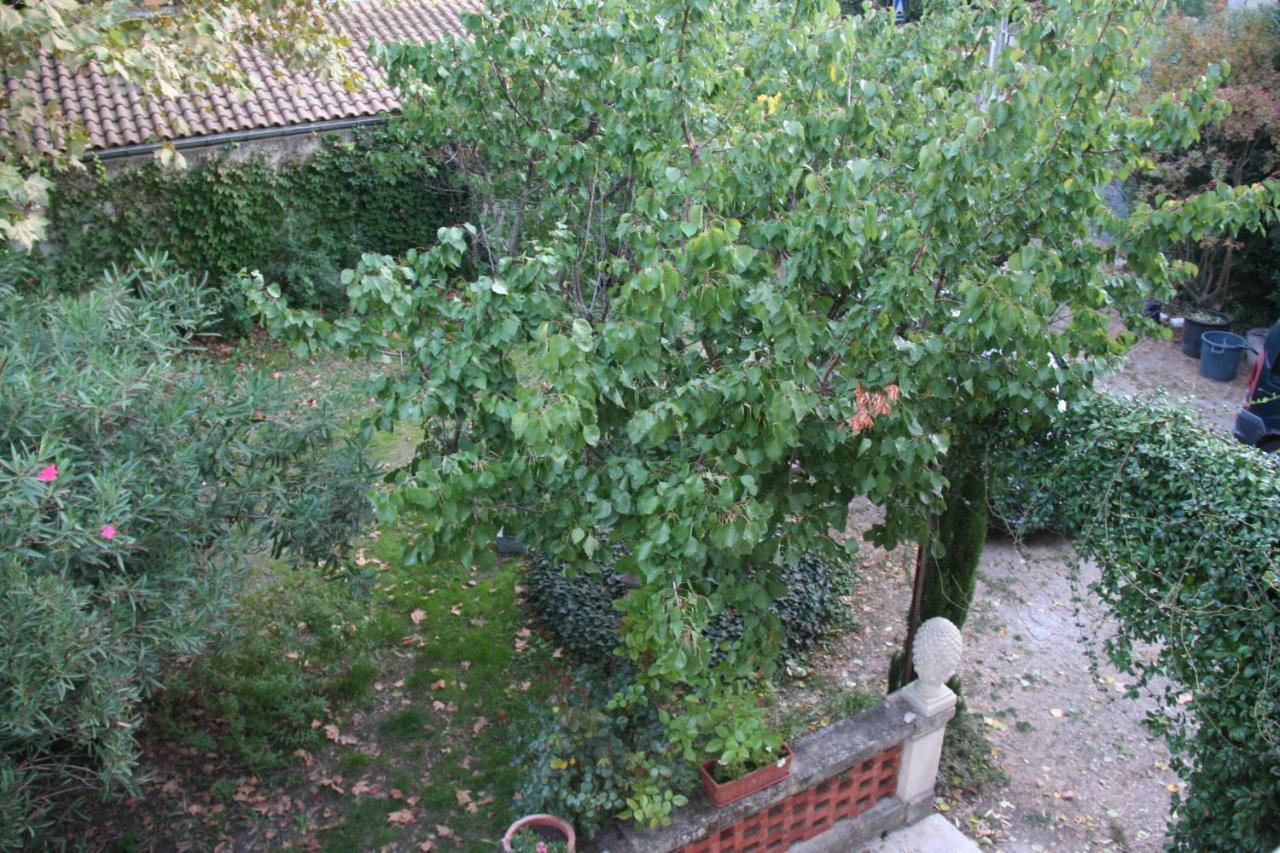 Le Mas Des Dames Appartement Avignon Buitenkant foto
